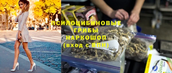 гашик Алзамай